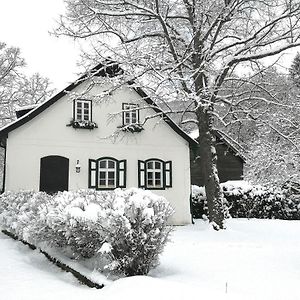 LANDSITZ OBERHOF petit hôtel Muggendorf (Lower Austria) Exterior photo