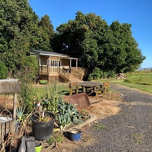 The Treehut Ohauiti Exterior photo