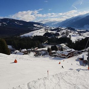 Panorama Chalet Mittersill Exterior photo