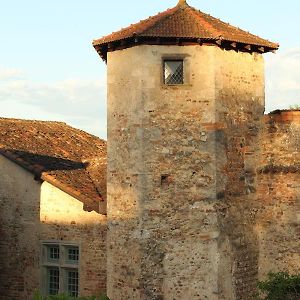 La Tour Bocsozel La Cote-Saint-Andre Exterior photo