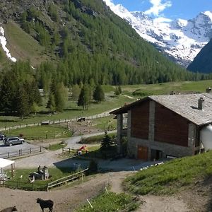 La Ferme Du Grand Paradis Cogne Exterior photo