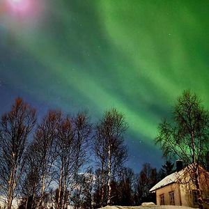 Cabin Magic On Senja, Atmosphere Like A Fairytale Botnhamn Exterior photo