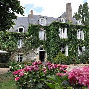 La Marronniere Cheffes-sur-Sarthe Exterior photo