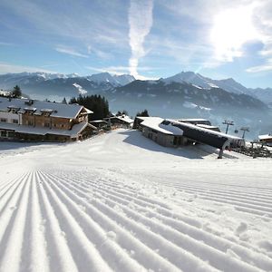 Elegant Chalet With Sauna In Mittersill Salzburg Hollersbach im Pinzgau Exterior photo