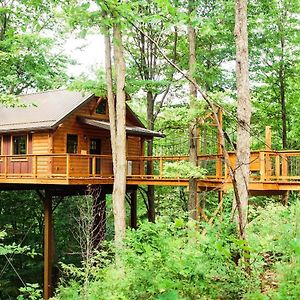 Treehouse #5 By Amish Country Lodging Millersburg Exterior photo