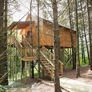 Whispering Pines Treehouse By Amish Country Lodging Millersburg Exterior photo