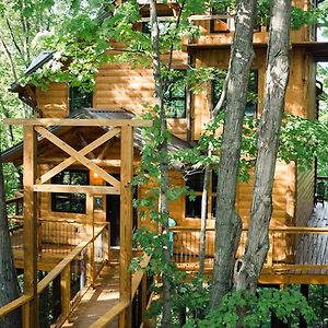 Treehouse #2 By Amish Country Lodging Millersburg Exterior photo