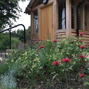 South Downs Eco Lodge & Camping East Meon Exterior photo