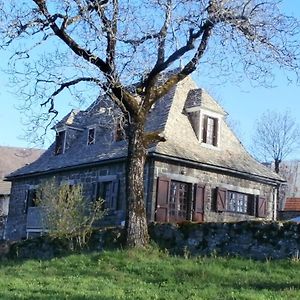 Maison De Charme Dans Le Parc Des Volcans D'Auvergne Avec Terrasse Lascelle Exterior photo