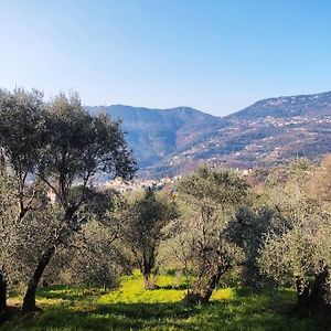 Bas de villa. Côte d'Azur, à 20 kms de Nice Contes (Alpes-Maritimes) Exterior photo