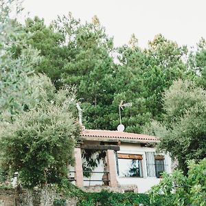 Casa Rural El Zumacal Monesterio Exterior photo