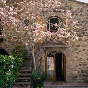 La Magnolia Greve in Chianti Exterior photo