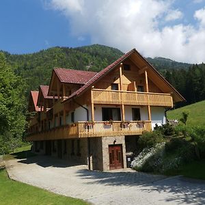 Turisticna Kmetija Zgornji Zavratnik Luče Exterior photo