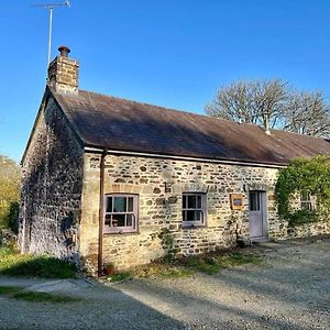 The Rose Barn, Ysgubor Y Rhosyn Llandysul Exterior photo