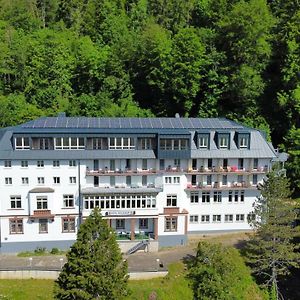 Gaeste- Und Tagungshaus Maria Trost Beuron Exterior photo