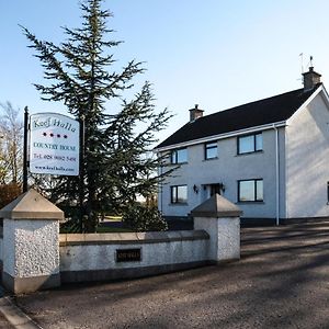 Keef Halla Country House Crumlin (Antrim) Exterior photo