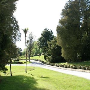 Woodhouse Mountain Lodge Warkworth Exterior photo