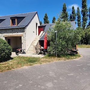 Tout Le Confort Au Milieu D'Un Parc Botanique Noyal-Muzillac Exterior photo