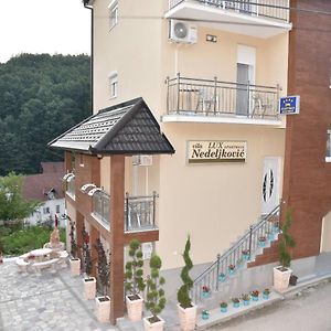 Vila Lux Nedeljkovic Gornja Trepca Čačak Exterior photo