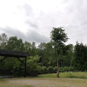 Agroturystyka Leśniczówka Więckowo Janowo (Nidzica, Warmian-Masurian) Exterior photo