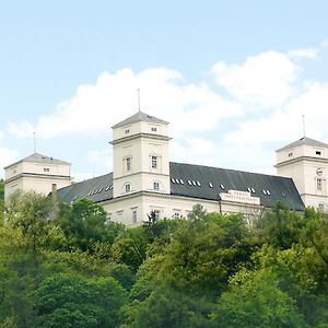 Zámek Račice Racice-Pistovice Exterior photo