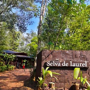 Selva De Laurel Porto Iguaçu Exterior photo