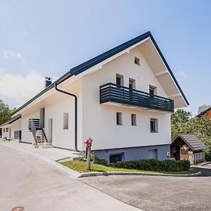 Mojcin Pisker Apartment House Kranj Exterior photo