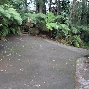 Risehill House Kalorama Exterior photo