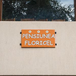 Pensiunea Floricel Stoeneşti Exterior photo