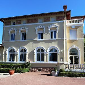 Château Blanchard Chazelles-sur-Lyon Exterior photo