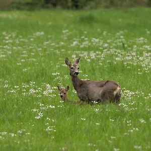 Het Appense Veld Klarenbeek Exterior photo