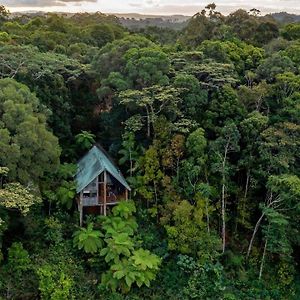 Rose Gums Wilderness Retreat Butchers Creek Exterior photo