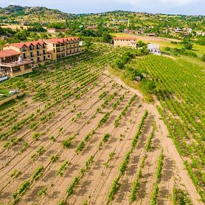 Dessera Vineyards Hotel Ahmetce (Kirklareli) Exterior photo