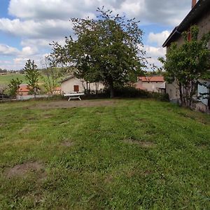 Studio Chaleureux Dans Les Monts Du Forez Verrieres-en-Forez Exterior photo