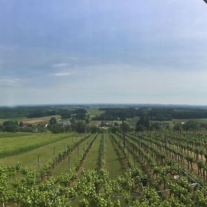 Apartma Soncek - House In The Vineyard Puconci Exterior photo