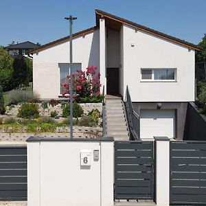 White Column House Diosd Exterior photo