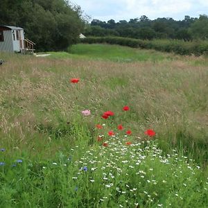 Little Idyll Shepherds Hut Chester Exterior photo