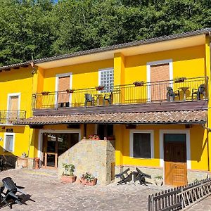 Casa Elisabetta Bosco Magnano San Severino Lucano Exterior photo