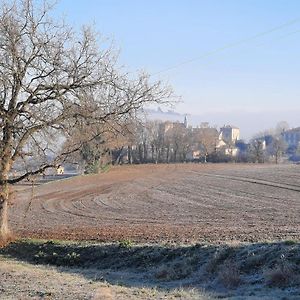 Chez Regis Lachapelle (Tarn-et-Garonne) Exterior photo