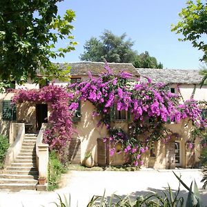 Domaine De Valle Sorbo-Ocagnano Exterior photo