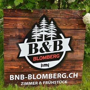 Bnb-Blomberg Ebnat-Kappel Exterior photo