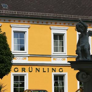 Gasthof Gruenling Wallsee Exterior photo