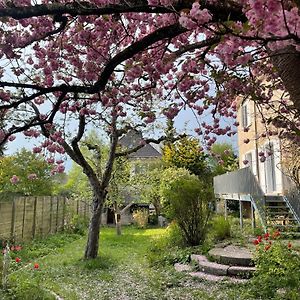 Au Jardin Zuchwil Exterior photo