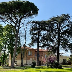 Chateau Du Go Albi Exterior photo