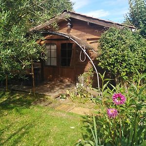 Le Chalet Du Jardin Cache Marmande Exterior photo