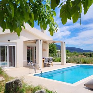 Casa O' - Moderne Villa Mit Grosser Terrasse Und Privatem Swimmingpool Skala Potamia (Thasos) Exterior photo