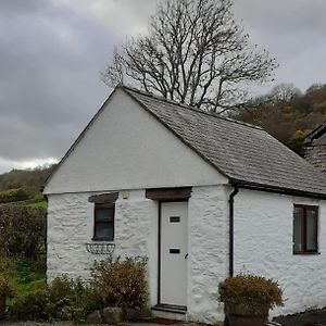 Y Llew Bach, The Tiny House Gwytherin Exterior photo