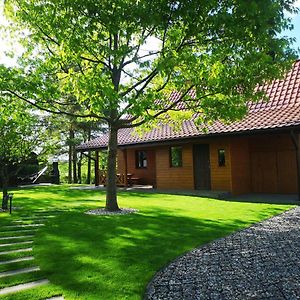 Bajkowy Domek Nad Samym Jeziorem Narty Exterior photo