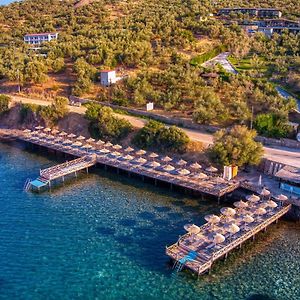 Assos Dionysos Special Class Hotel Adults Only 12 Years Exterior photo