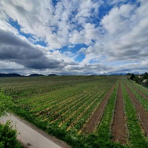 Weinseelig14 Landau in der Pfalz Exterior photo